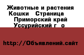 Животные и растения Кошки - Страница 4 . Приморский край,Уссурийский г. о. 